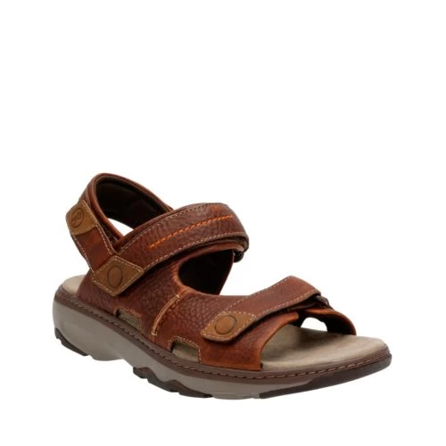 Raffe Coast - Image 2