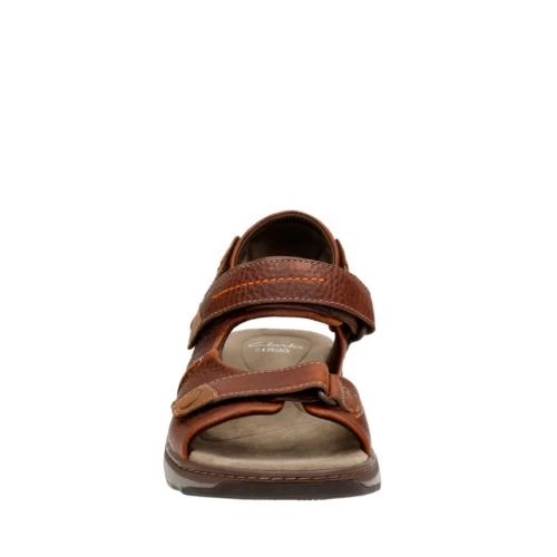 Raffe Coast - Image 3