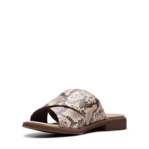 Declan Ivy - Image 4