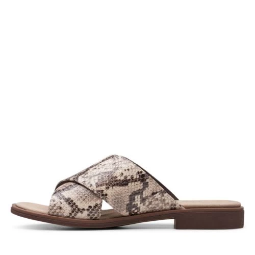 Declan Ivy - Image 5