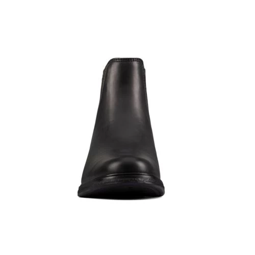 Clarkdale Arlo - Image 3