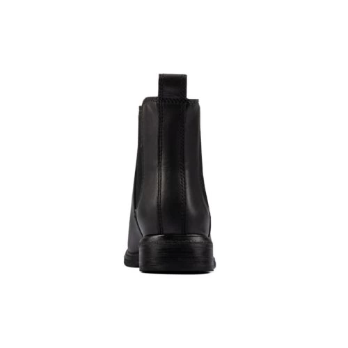 Clarkdale Arlo - Image 5