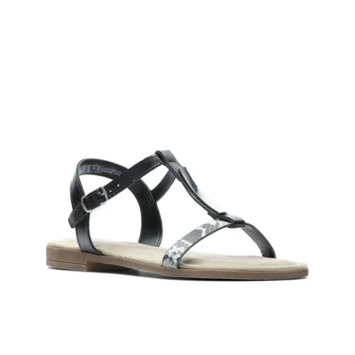 Axelle Ray - Image 2