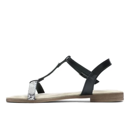 Axelle Ray - Image 4