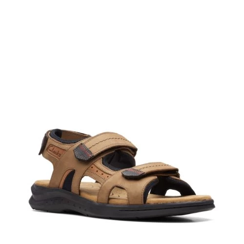 Hapsford Trail - Image 2