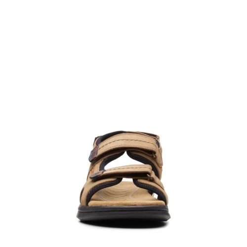 Hapsford Trail - Image 3