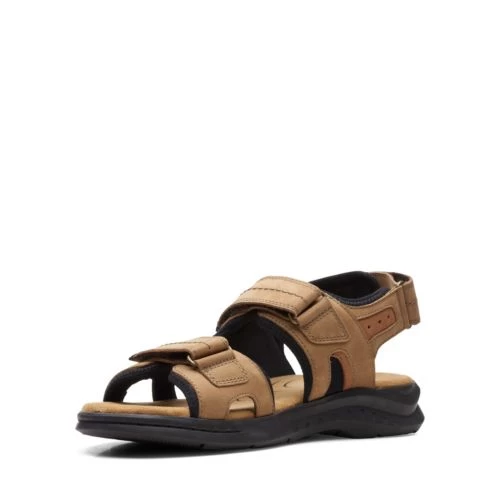 Hapsford Trail - Image 4