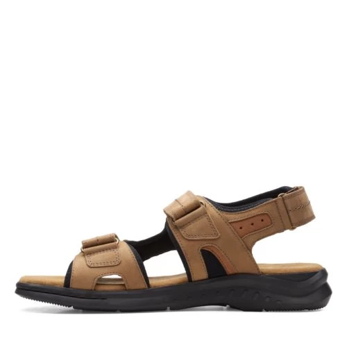 Hapsford Trail - Image 5