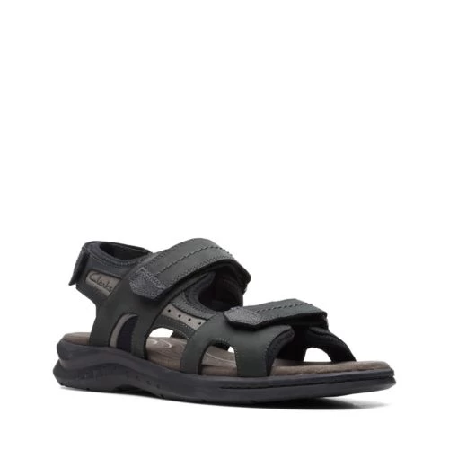 Hapsford Trail - Image 2