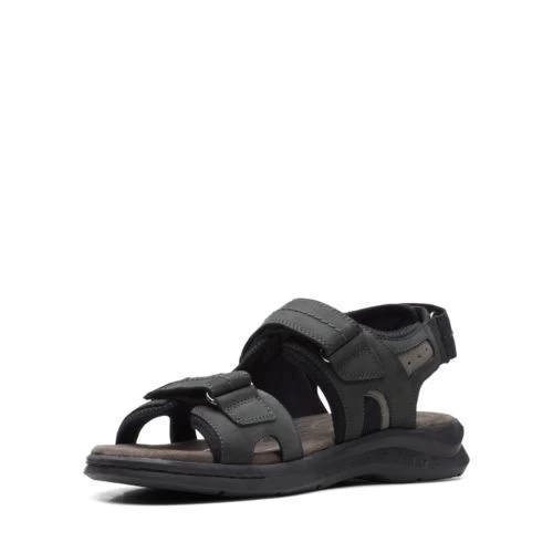 Hapsford Trail - Image 4