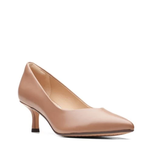 Violet55 Court - Image 2