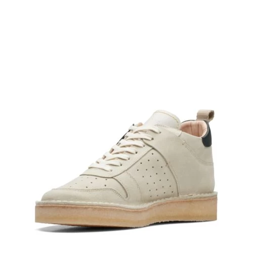 Desert Run - Image 4