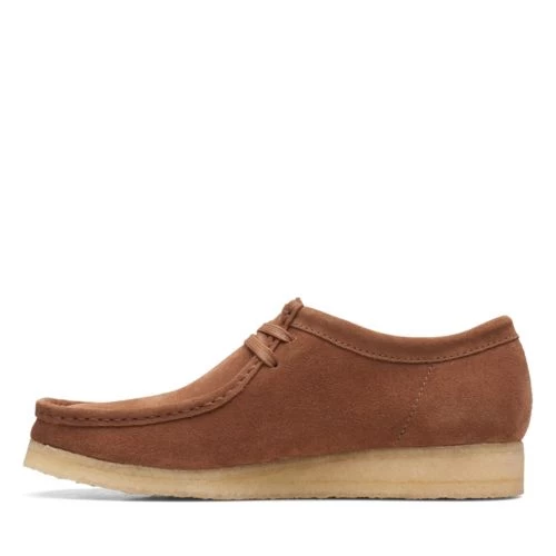 Wallabee ICTD - Image 5